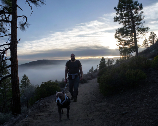 Faithful Companions on Every Trail