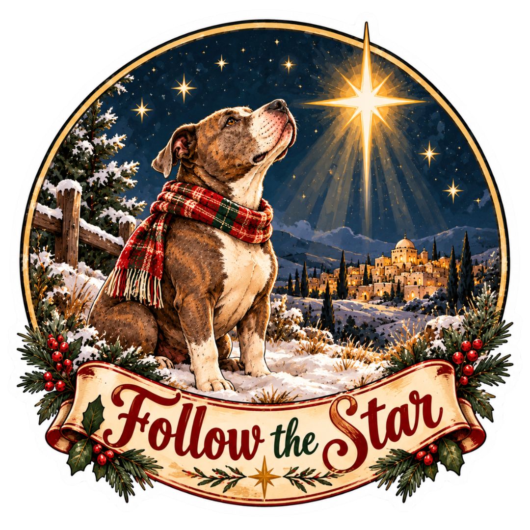 Follow the Star Sticker