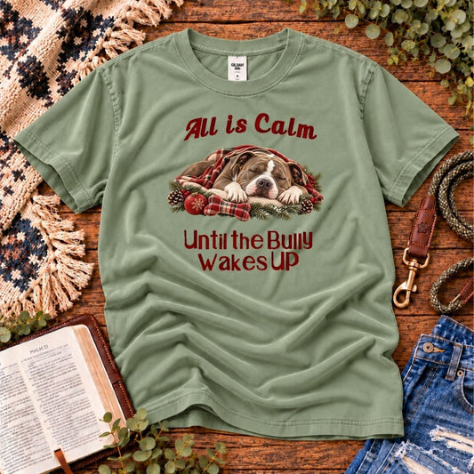 All Is Calm Christmas T-Shirt