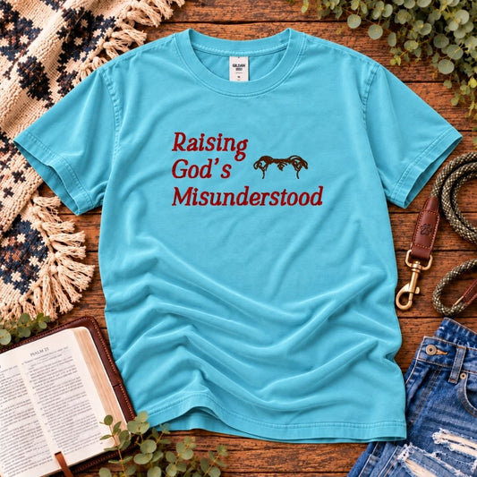 Raising God's Misunderstood T-Shirt