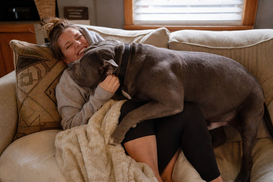 Bully breed dog snuggled close to owner — velvet hippo life, My Kids Have Paws by Abiding Paws