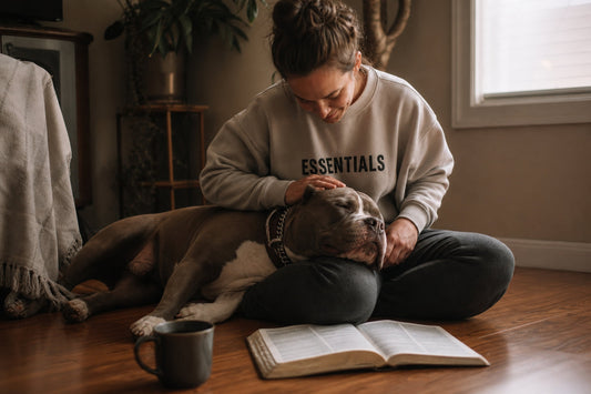 Abide in the Chaos: What Staying Rooted Really Looks Like for a Bully Breed Parent