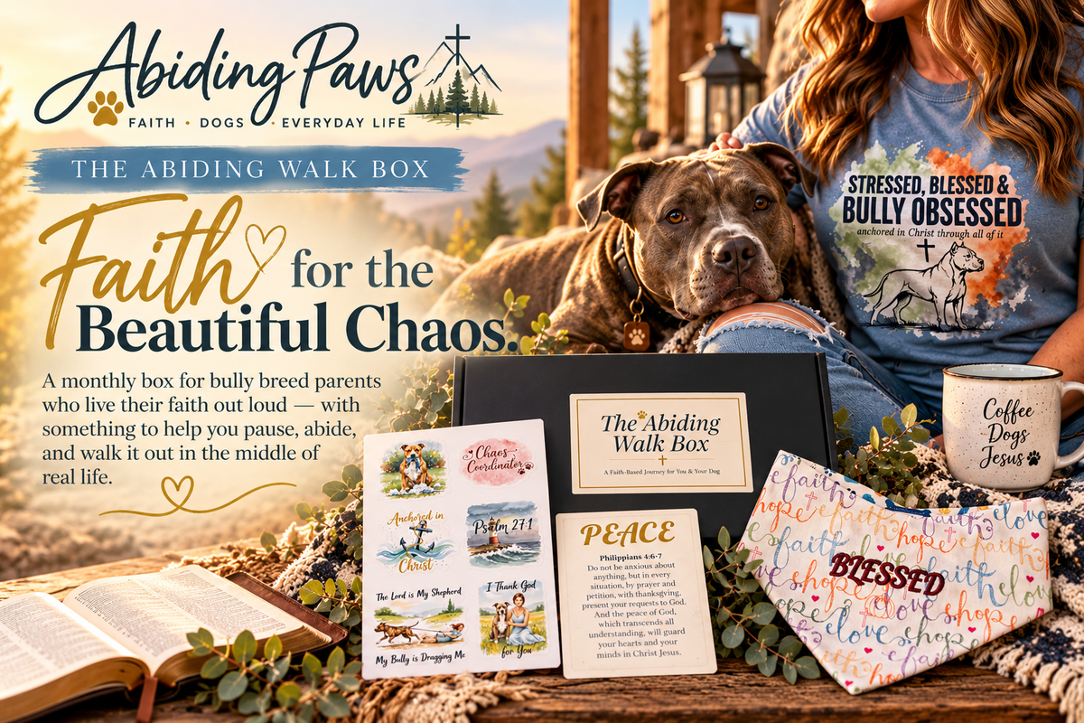 The Abiding Walk Box, a monthly faith and bully breed subscription box.
