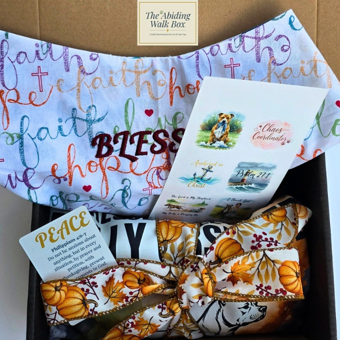 Sept 2026 Walk Box with sticker sheet, blessed embroidered bandana, Peace faith card, and tee image shown with fall ribbon tied around tee