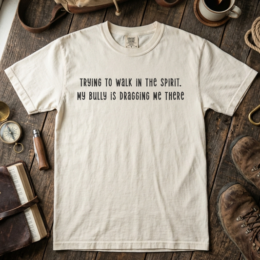 Trying to Walk in the Spirit. My Bully is Dragging Me There Embroidered Tee