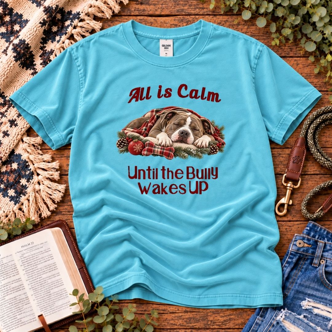 All Is Calm Christmas T-Shirt