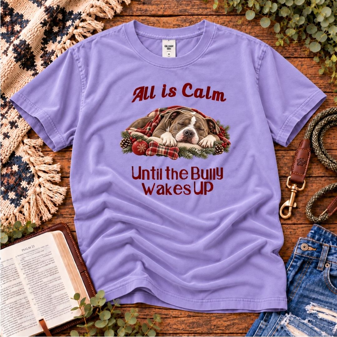 All Is Calm Christmas T-Shirt