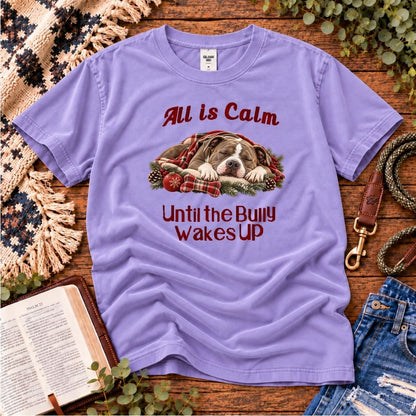 All Is Calm Christmas T-Shirt