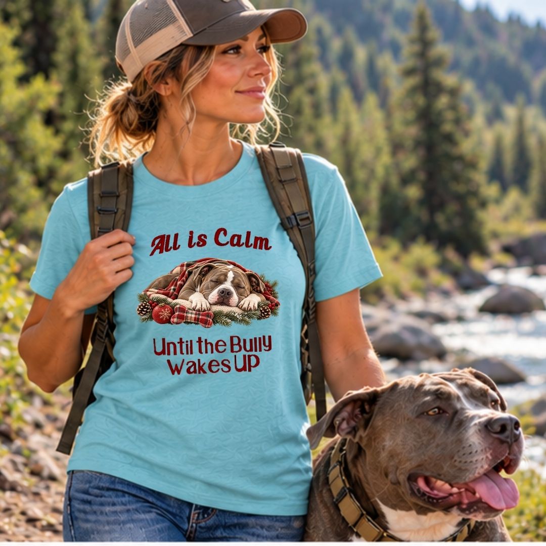 All Is Calm Christmas T-Shirt