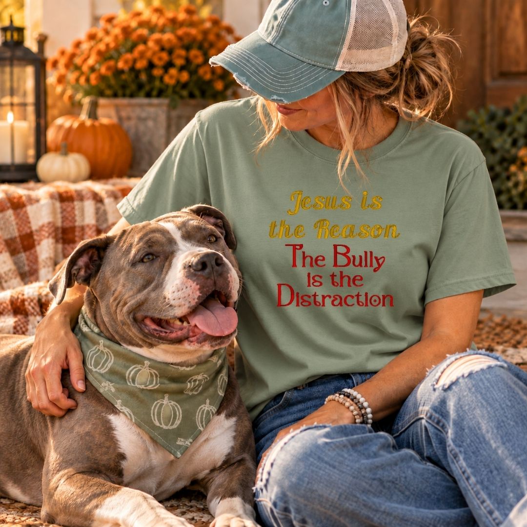 Jesus Is the Reason T-Shirt