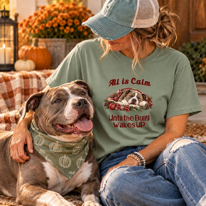 All Is Calm Christmas T-Shirt