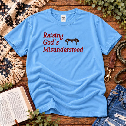 Raising God's Misunderstood T-Shirt