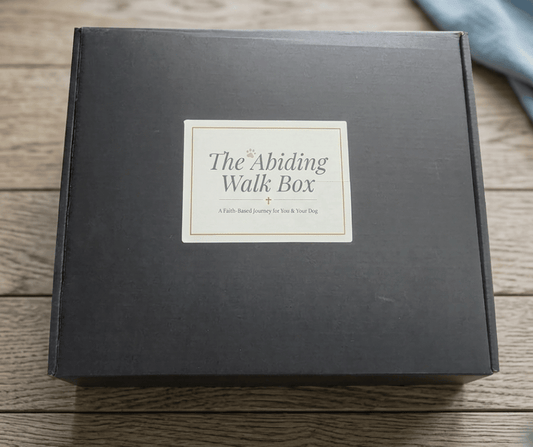 The Abiding Walk Box by Abiding Paws | "Rooted" Tier