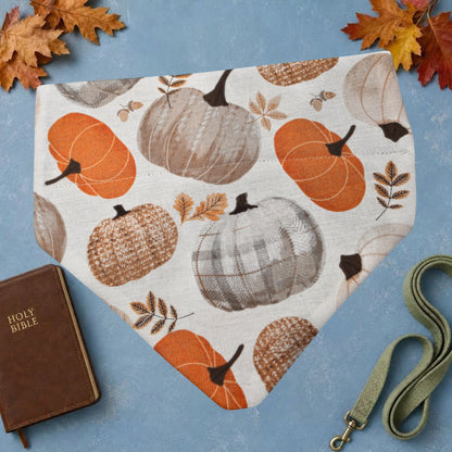 Reverse side of dog bandana with orange and neutral pumpkins and autumn leaves